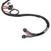 Holley EFI LS1/6 (24x/1x) Engine Main Harness, Extended Length - (EFI-558-133)