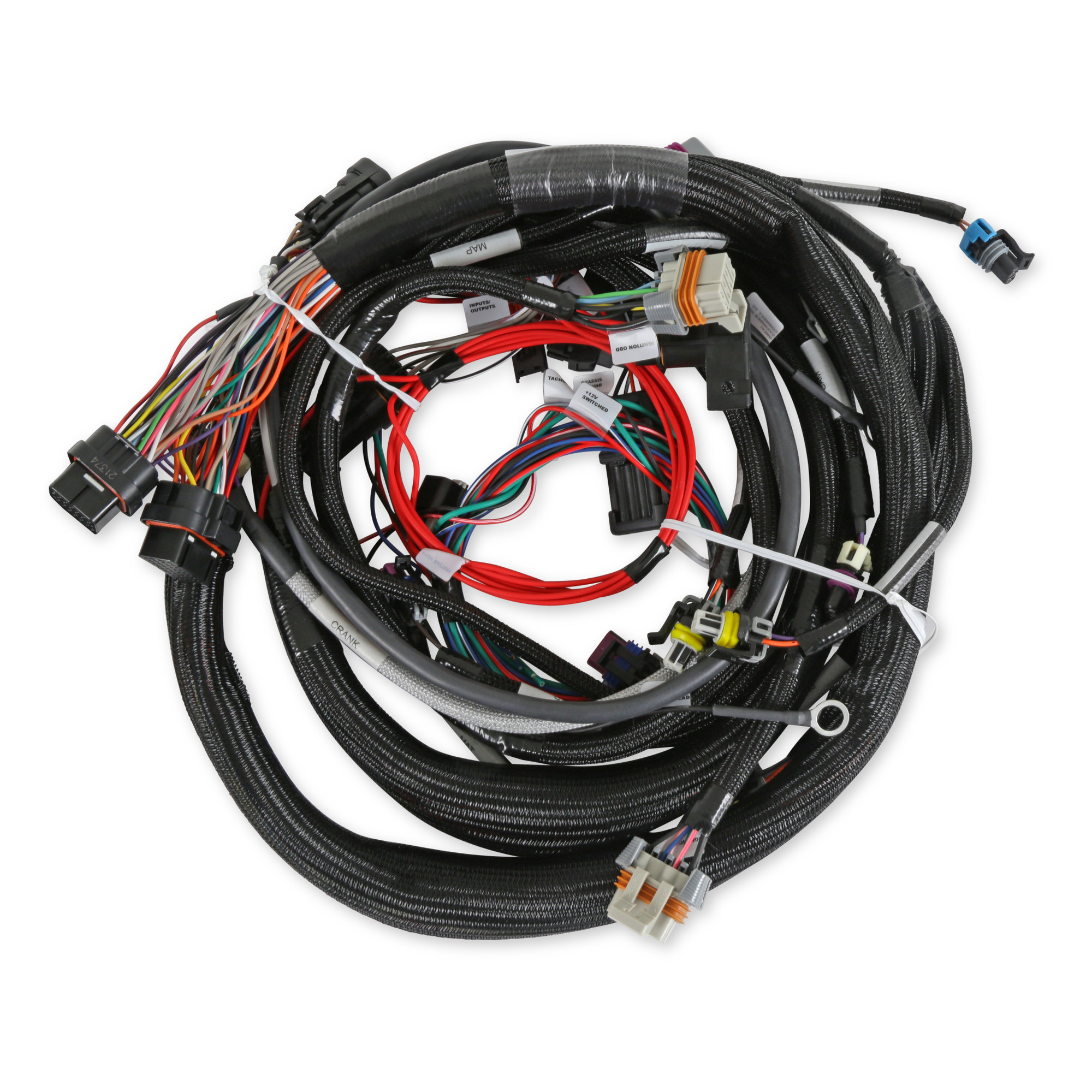 Holley EFI LS1/6 (24x/1x) Engine Main Harness, Extended Length - (EFI-558-133)