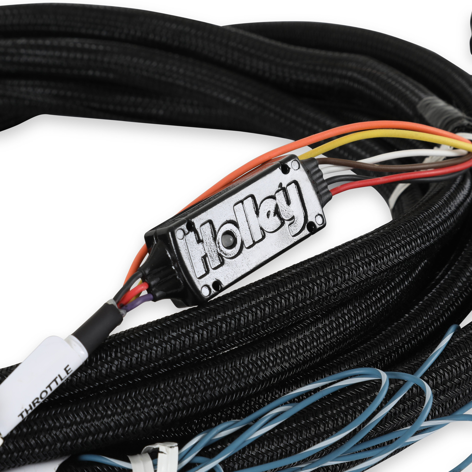 Holley EFI 2018-2022 Ford - DBW Harness - (EFI-558-469)