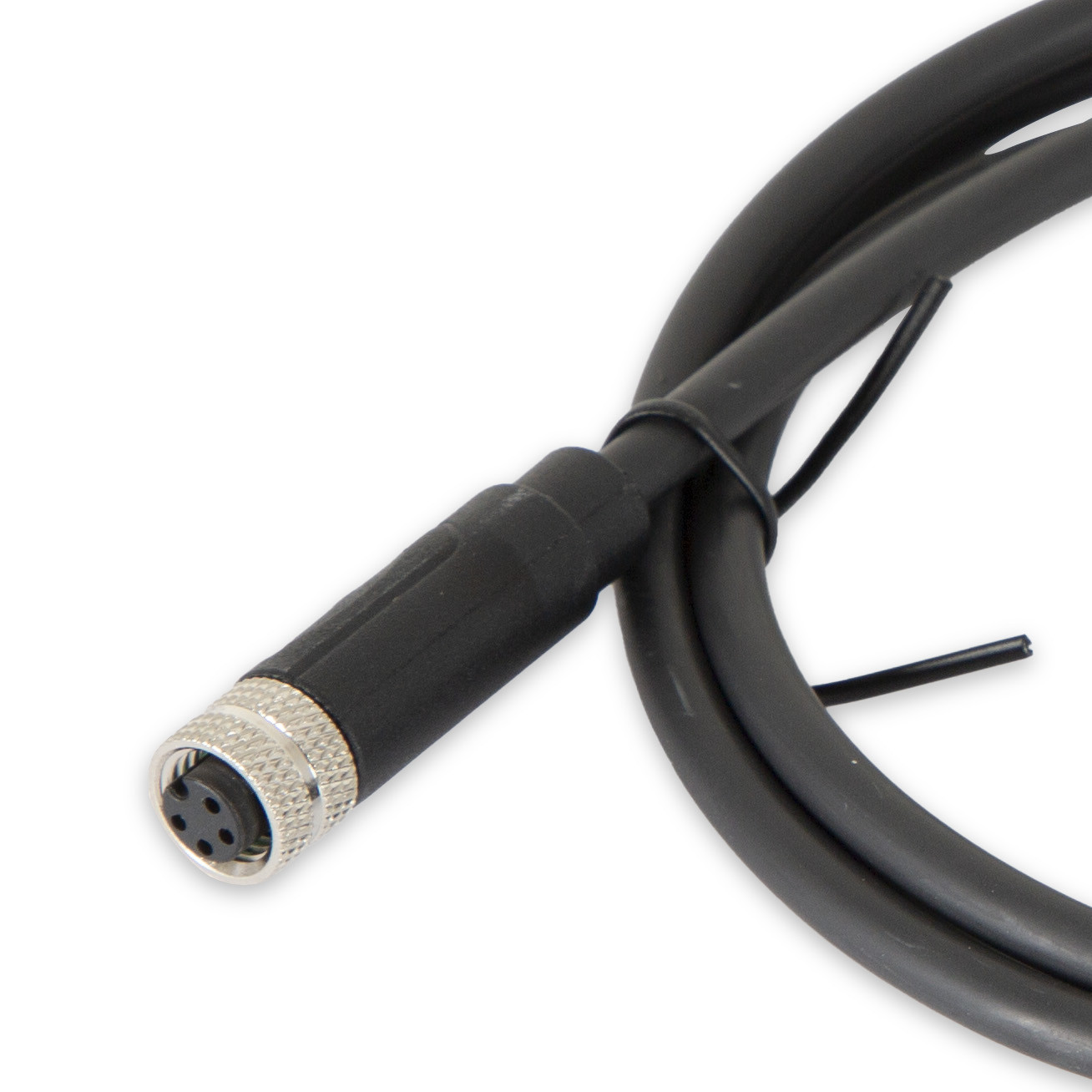 Holley EFI M8 Extension - 4ft - (EFI-558-484)