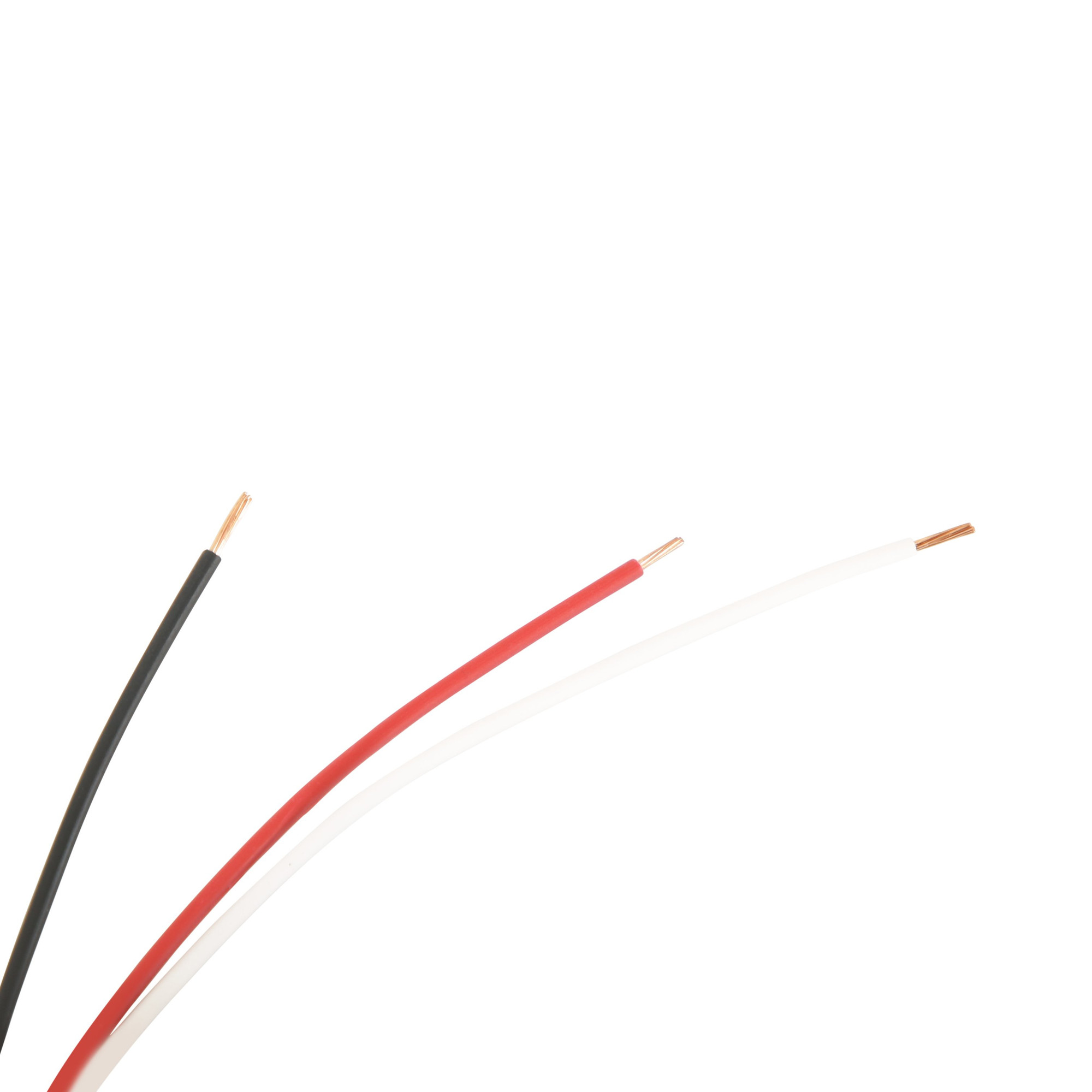 Holley EFI Pro Dash M8 Service Harness - (EFI-558-486)