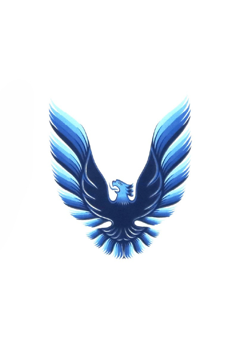 Trim Parts 1978-1980 Firebird Trans Am Quarter Sail Panel 3 Inch Bird Decal- Blue - (TPG-6324)