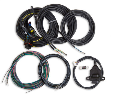 Holley EFI Digital Dash I/O Adapter w/Terminated Vehicle Harness - EFI-558-434