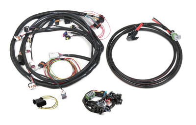 Holley EFI Injector Harness, For All Ford V8s - EFI-558-508