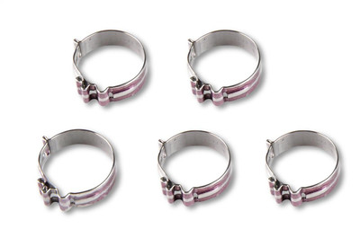 Earls Performance Super Stock Clamps, -6 AN, Pack of 5 - 818406ERL