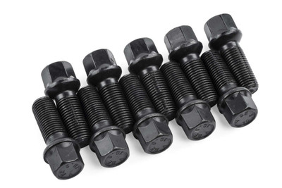 APR 96-22 Volkswagen/Audi, Lug Bolts, 30MM, Set of 10 - APR-MS100172