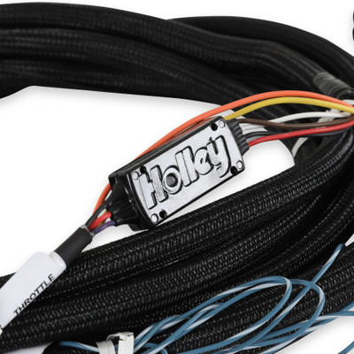Holley EFI 2018-2022 Ford - DBW Harness - (EFI-558-469)