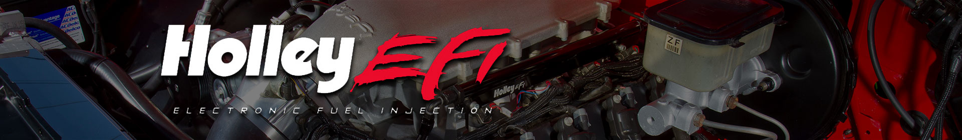 Holley EFI