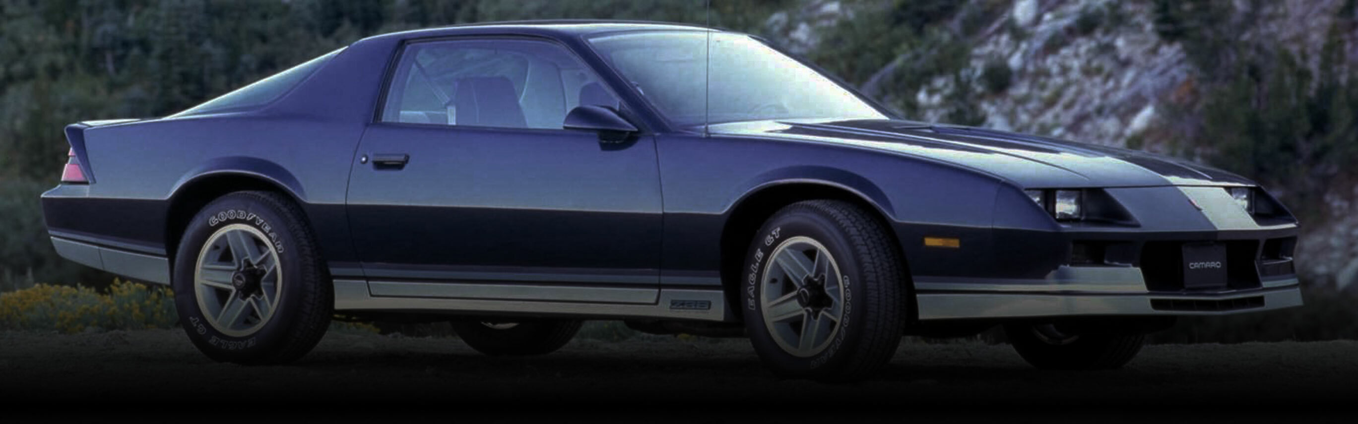 1984 Camaro Parts and Accessories