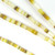 Gold Lip Heishi Beads