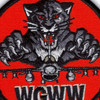 13th FS WGWW PATCH 4"