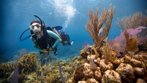 Open Water Diver eLearning Course