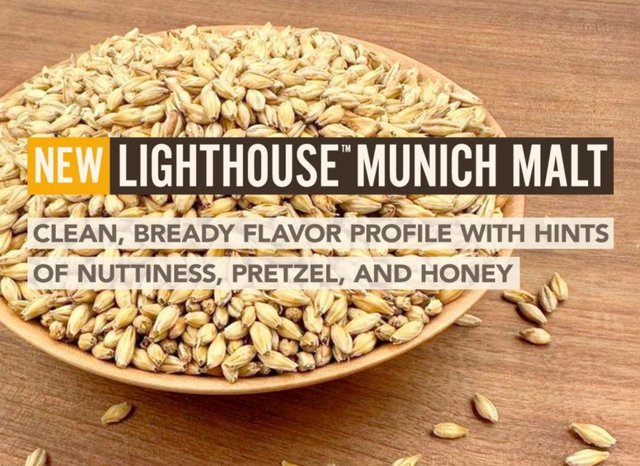 Lighthouse™ Munich Malt