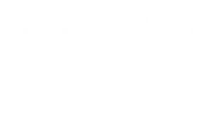 EstateGunsandAmmo.com