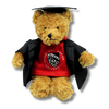 Napier Red Teddy Bear with Graduation Gown & Hat