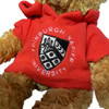 Napier Red Teddy Bear with Graduation Gown & Hat
