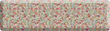 106-P-2072-ODSG