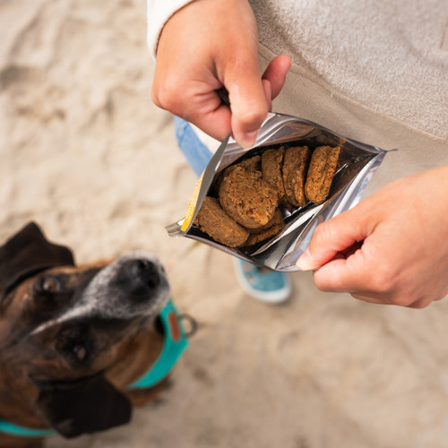 Angry Pika Maple Pecan Trail Cookies