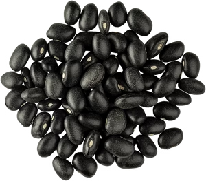 mexibowl-beans-black-lowres-300x.jpg