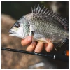 Daiwa 26 DX Lifestyle Photo