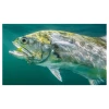 Jarvis Walker Scented Shrimp Rigged Lure Hero Image