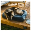 YETI Boomer Large Dog Bed Lifestyle Photo