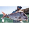 Daiwa Bait Junkie Wave Minnow