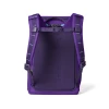 YETI Daytrip 20L Insulated Backpack Back