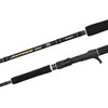 Shimano Anthem SW 2020 Spinning Rod