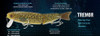Balista Tremor 200 Lure