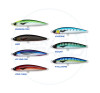 Daiwa Saltiga Rough Ride 140F Fishing Lure Colour Chart