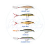 Rapala X-Rap XR4 Hardbody Fishing Lure 4cm Colour Chart