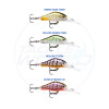 Rapala Shadow Rap Fat Jack Colour Chart