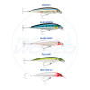 Rapala X-Rap Slashbait SXR12 Saltwater Colour Chart