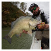 FroggerZ Spinnerbait JNR Lifestyle Photo