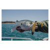 Nomad Live Ops Dozer Minnow Lifestyle Photo