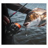 Daiwa 24 TD BLACK MQ 5000D-C Lifestyle Photo