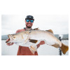 Daiwa 26 Certate 3000-XH Lifestyle Photo