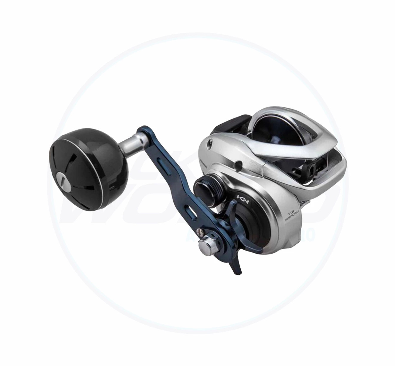 Shimano Tranx 300 AHG Baitcast Fishing Reel - Tackle World