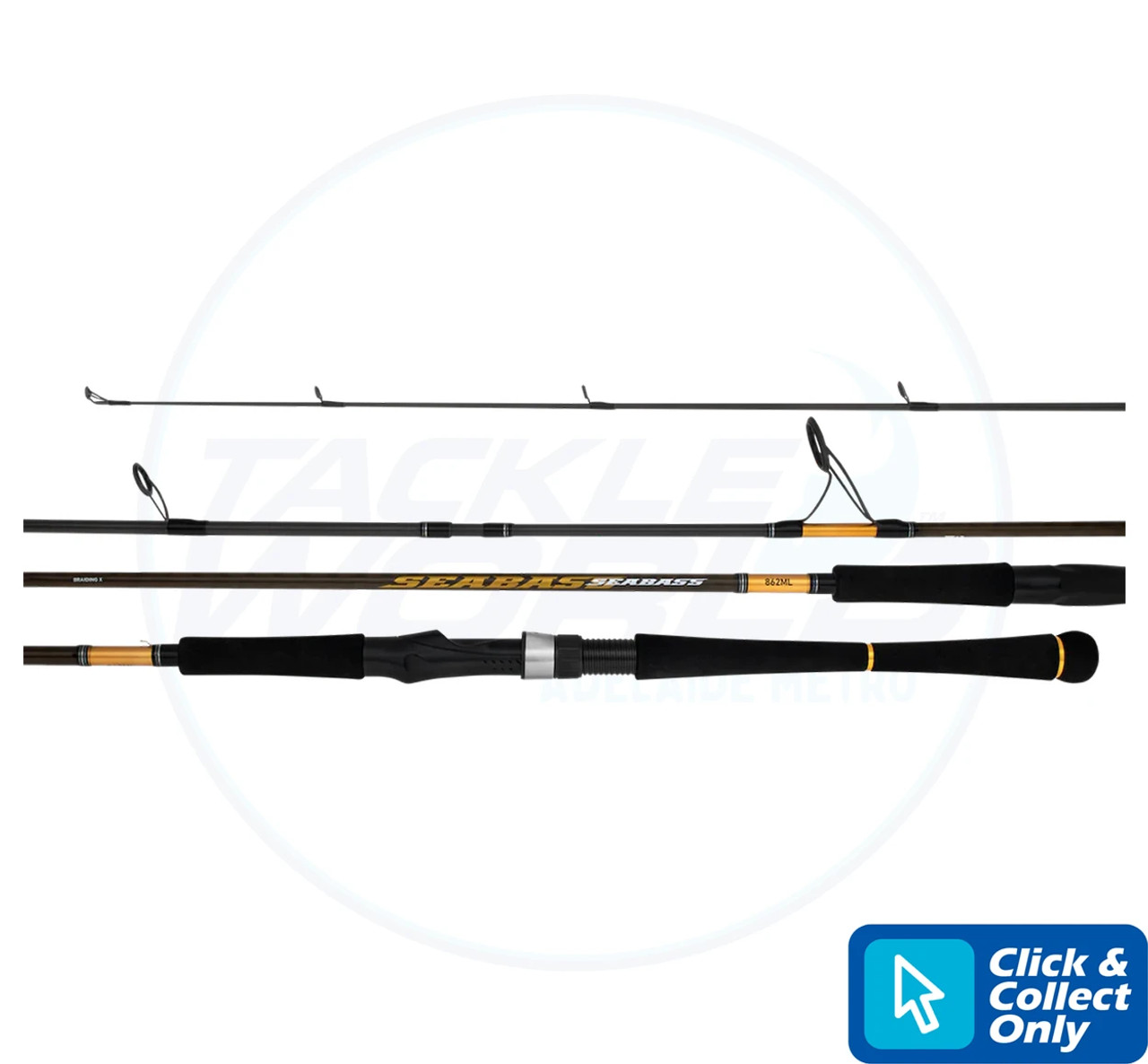 23 Seabass – Daiwa Australia