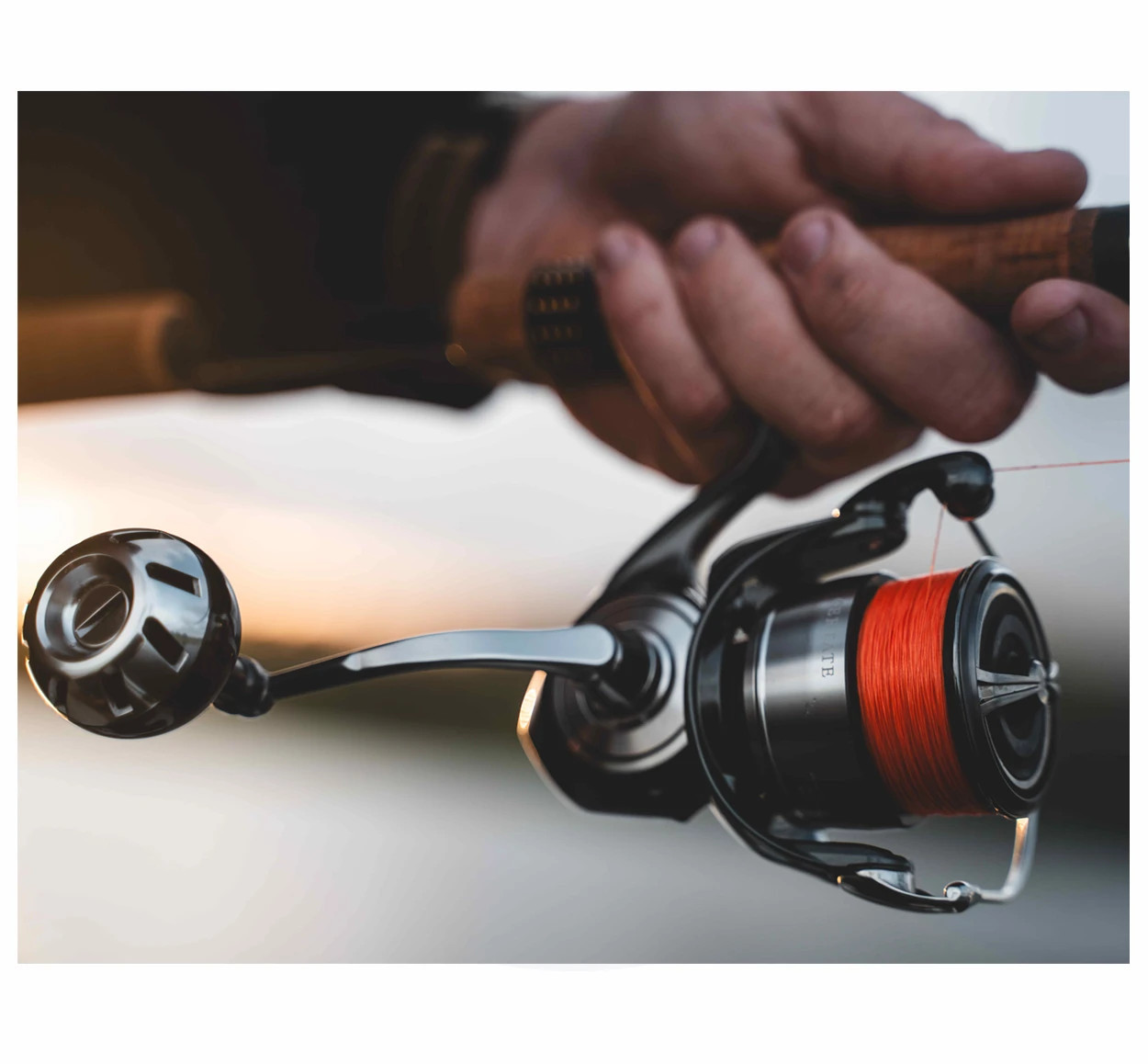 Daiwa 24 Certate LT Spinning Fishing Reel Tackle World Adelaide Metro