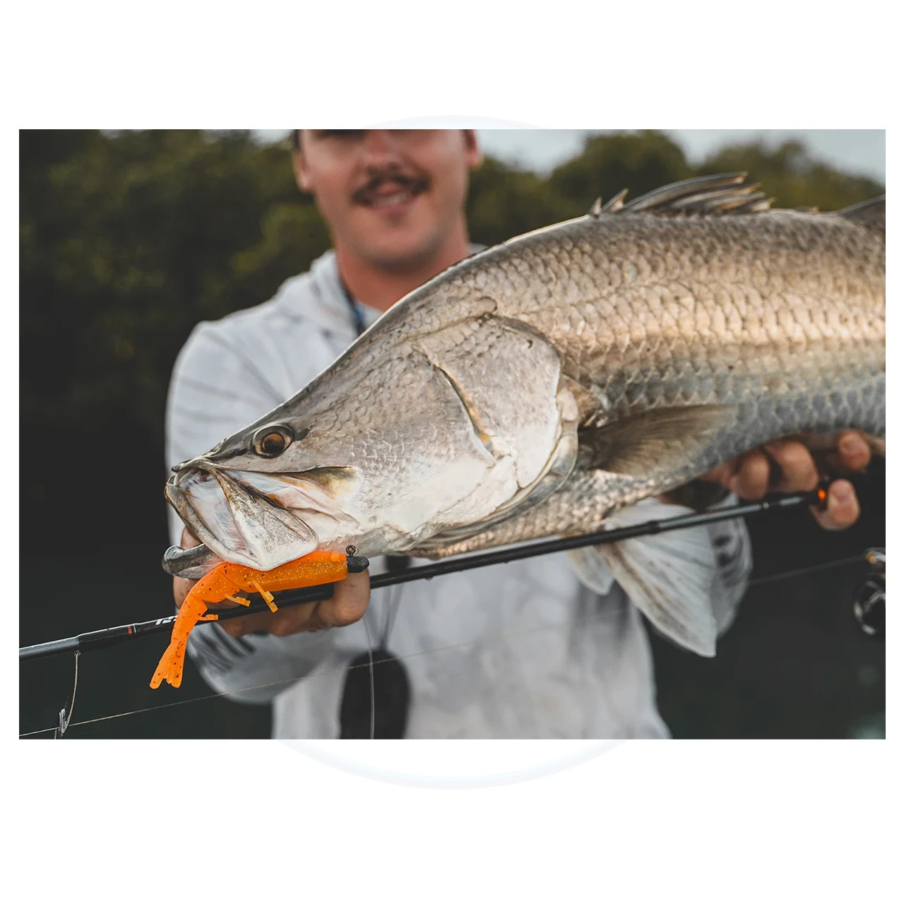 Daiwa Bait Junkie Prawn Soft Plastic Fishing Lure 5 Inch - Tackle World ...