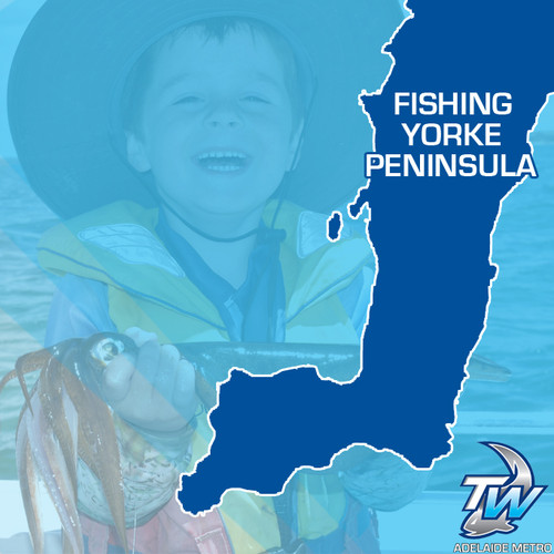 Yorke Peninsula Fishing Guide - Tackle World Adelaide Metro