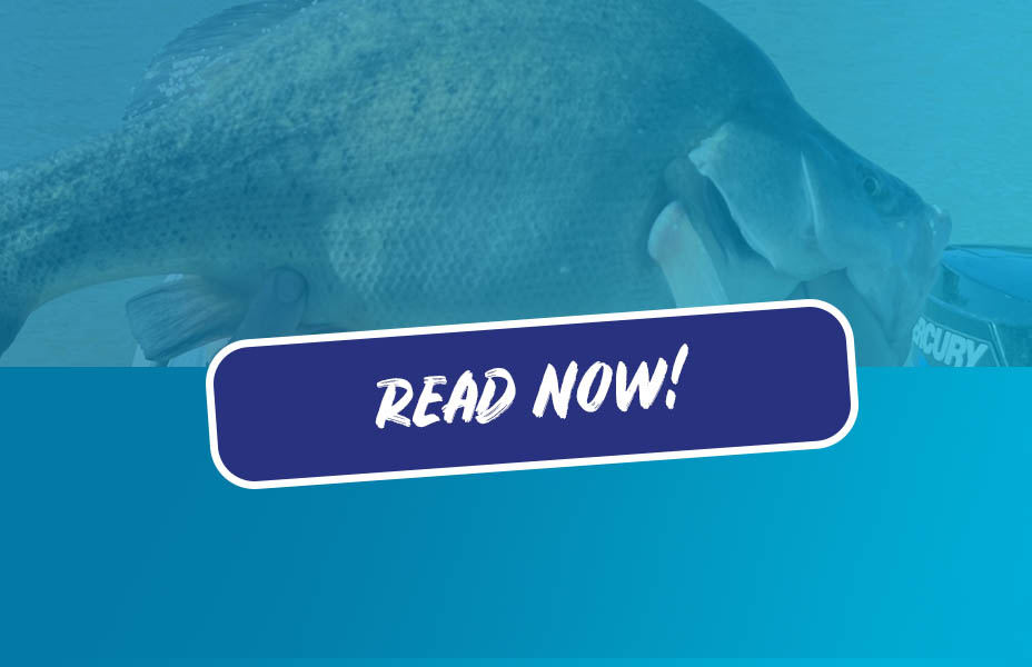 Kids Combos – Fishing Online Australia