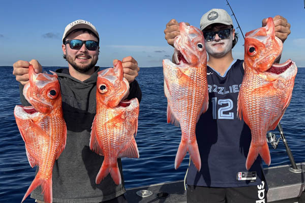 subscribe-become-a-tackle-world-vip-sml.jpg
