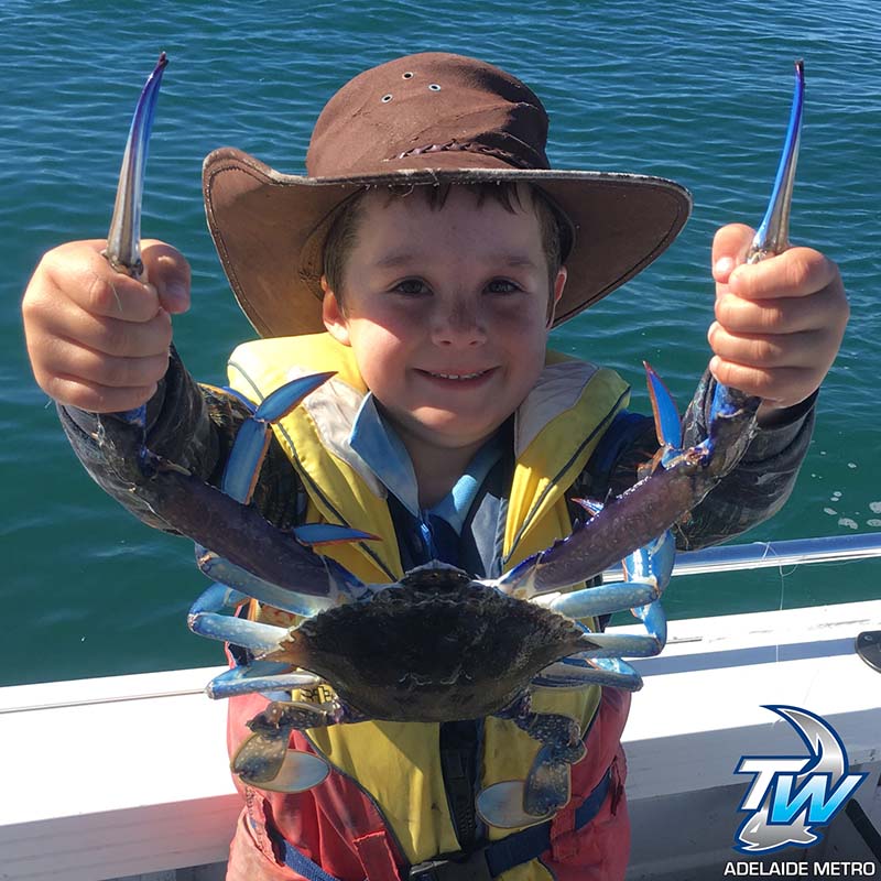 How To Catch Blue Swimmer Crabs - Tackle World Adelaide Metro