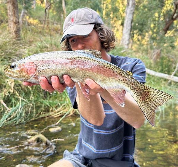 South Australian Fishing Report