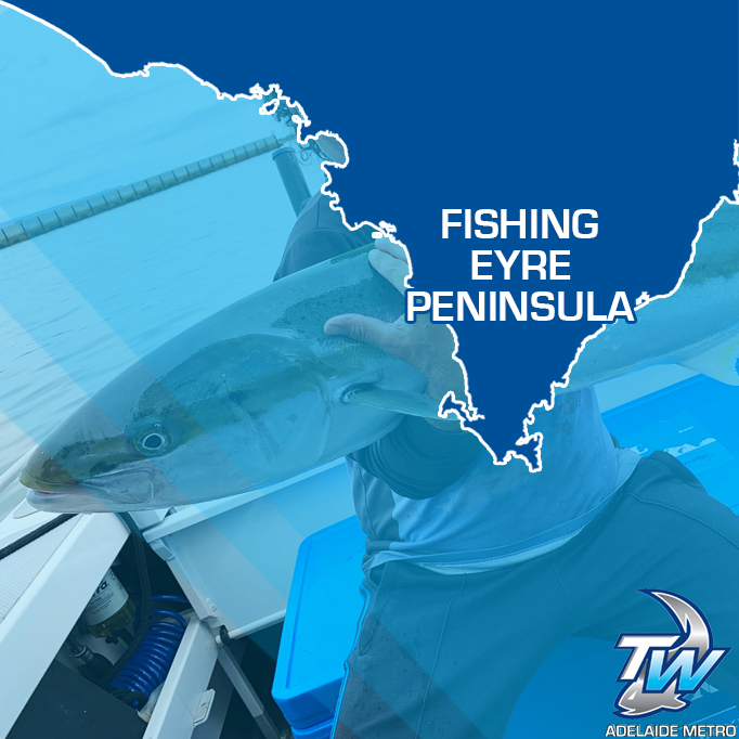 Eyre Peninsula Fishing Guide - Tackle World Adelaide Metro