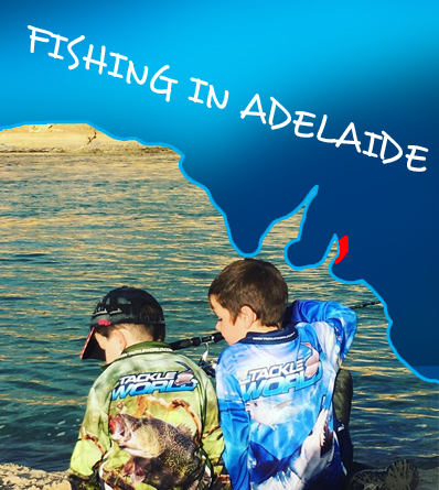 Landbased Series: Adelaide Region – Daiwa Australia