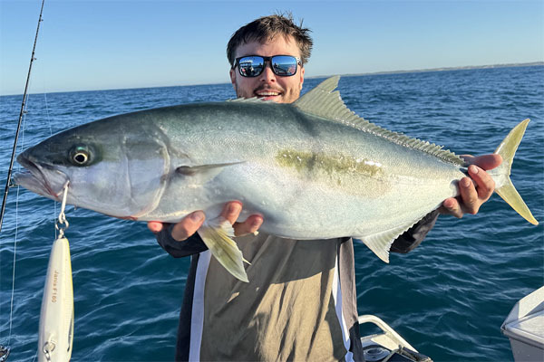 kingfish-will-31-01-25.jpg